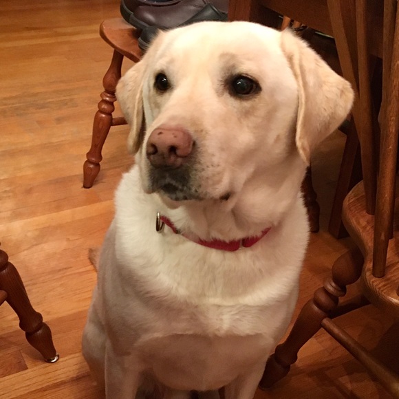 Thanks for visiting my closet! - Picture 4 of 11